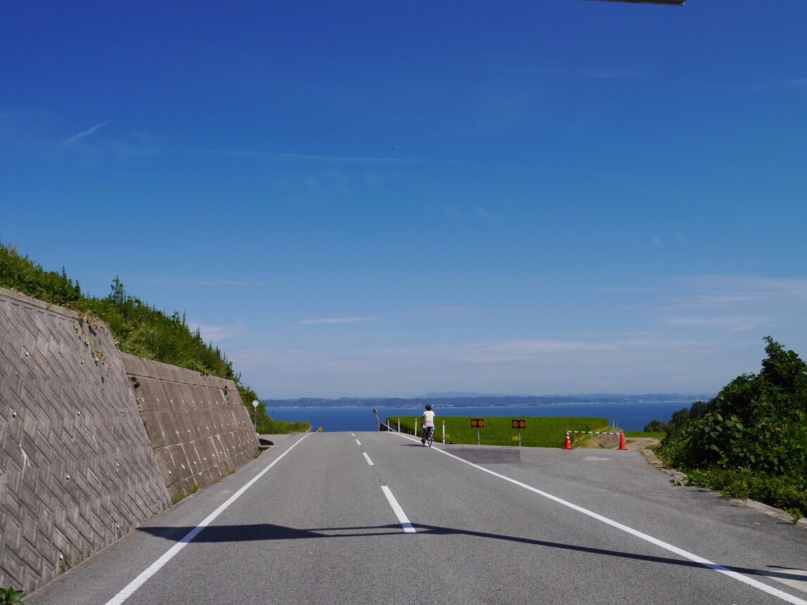 f:id:nekohana7:20190511161559j:plain