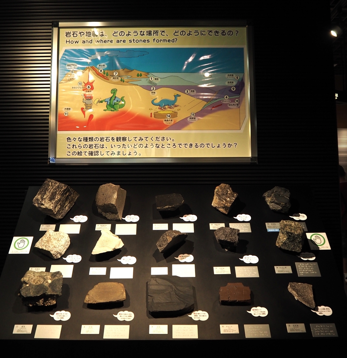 2025年9月20日~23日 筑波一人サイエンスツアー初日】つくばの良い品