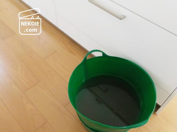 f:id:nekohaus:20160727194043j:plain
