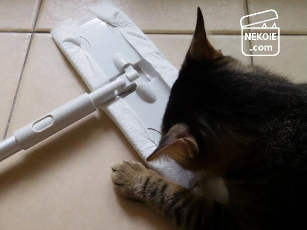 f:id:nekohaus:20160727194107j:plain