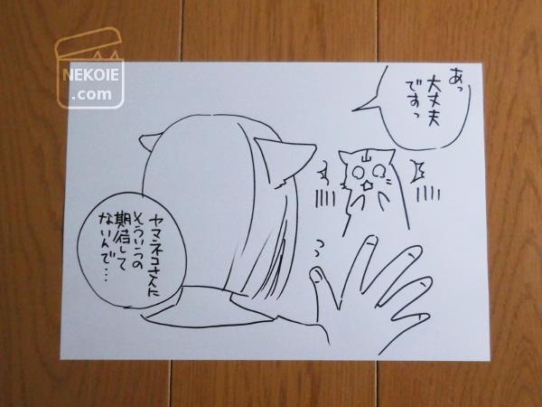 f:id:nekohaus:20160727194111j:plain