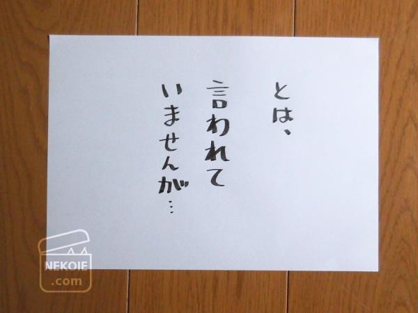 f:id:nekohaus:20160727194112j:plain