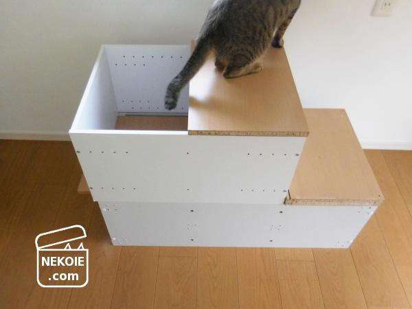 Diy 猫のバリアフリーと カラーボックスの再利用 ネコハウス