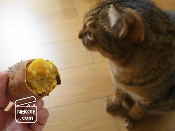 f:id:nekohaus:20161002204352j:plain f:id:nekohaus:20161002204352j:plain