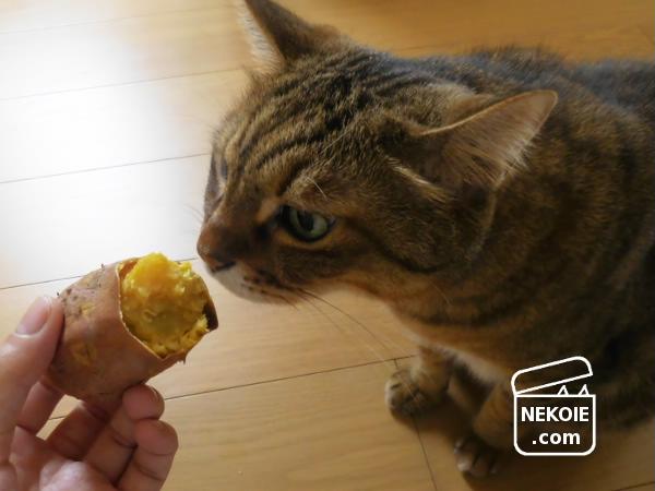 f:id:nekohaus:20161002204353j:plain f:id:nekohaus:20161002204353j:plain