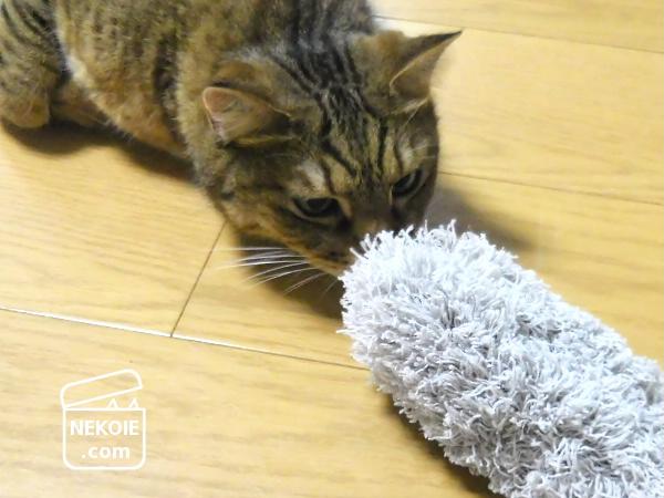 f:id:nekohaus:20161003195625j:plain f:id:nekohaus:20161003195625j:plain
