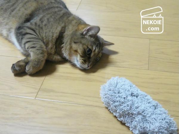 f:id:nekohaus:20161003195626j:plain f:id:nekohaus:20161003195626j:plain