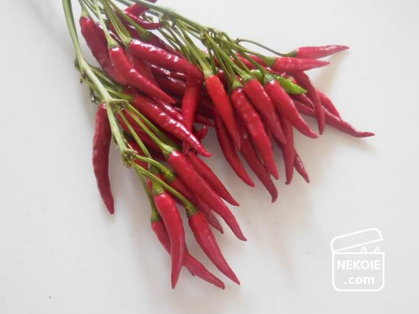 f:id:nekohaus:20161009202235j:plain