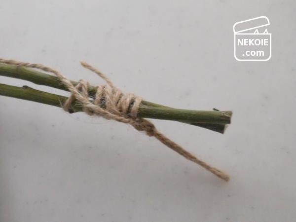 f:id:nekohaus:20161009202236j:plain