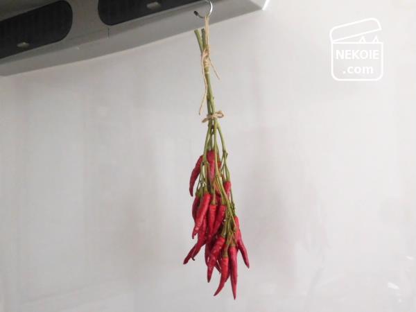 f:id:nekohaus:20161009202237j:plain