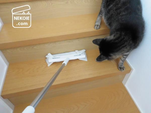 f:id:nekohaus:20161020192813j:plain f:id:nekohaus:20161020192813j:plain