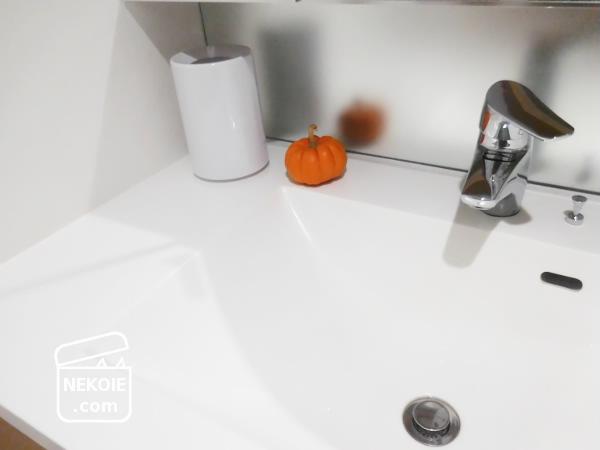 f:id:nekohaus:20161031161811j:plain