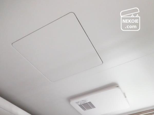 f:id:nekohaus:20161101185543j:plain