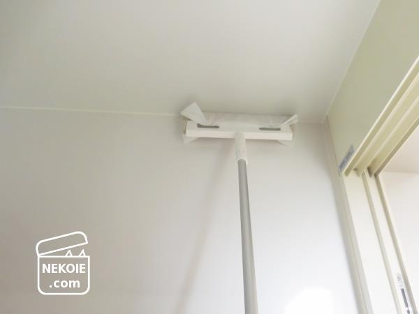 f:id:nekohaus:20161101195547j:plain