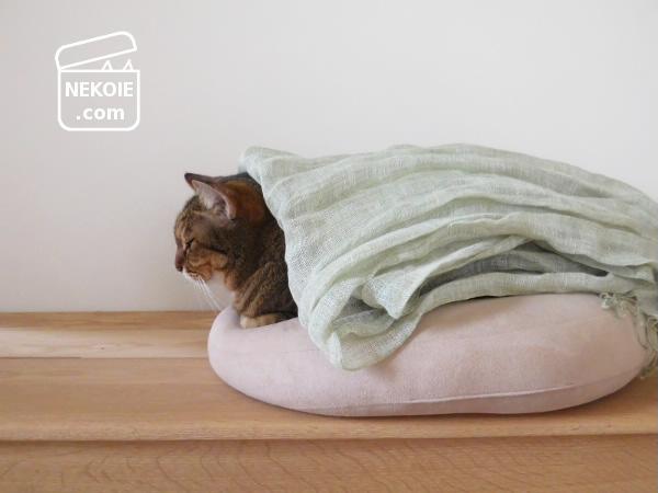 f:id:nekohaus:20161104200108j:plain