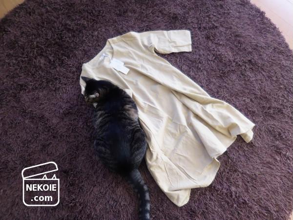 f:id:nekohaus:20161122203957j:plain