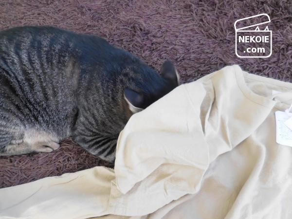 f:id:nekohaus:20161122203959j:plain