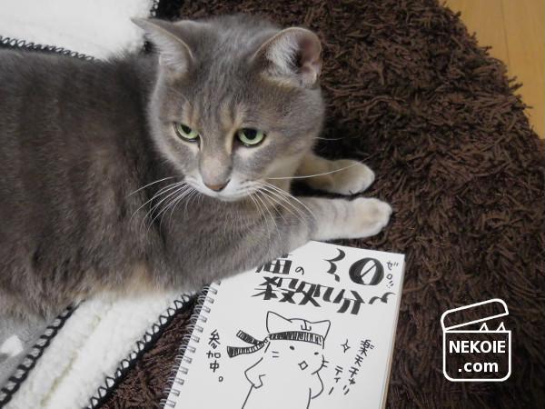 f:id:nekohaus:20161204195301j:plain f:id:nekohaus:20161204195301j:plain