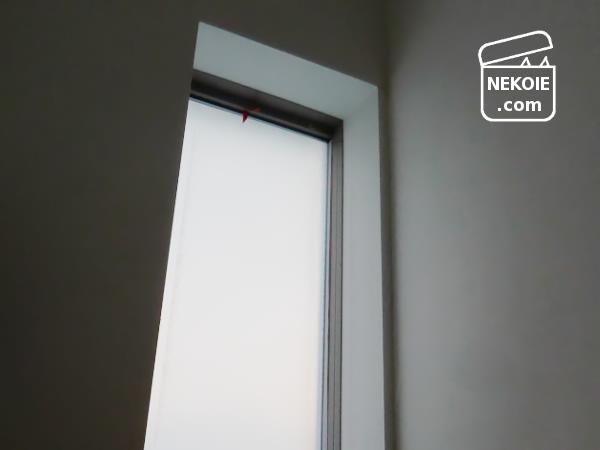 f:id:nekohaus:20170118203521j:plain