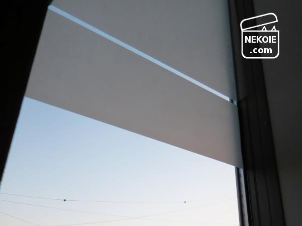 f:id:nekohaus:20170118203522j:plain