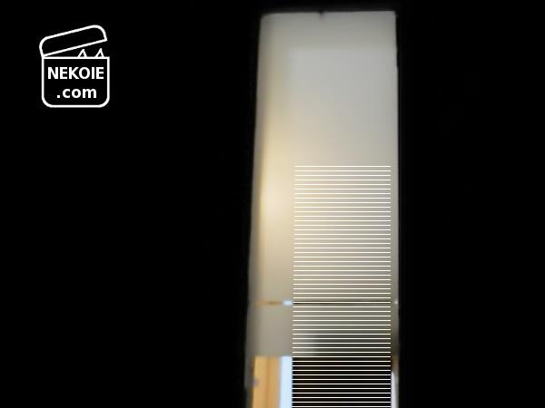 f:id:nekohaus:20170118214524j:plain