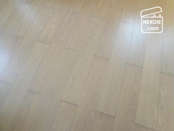 f:id:nekohaus:20170219203548j:plain