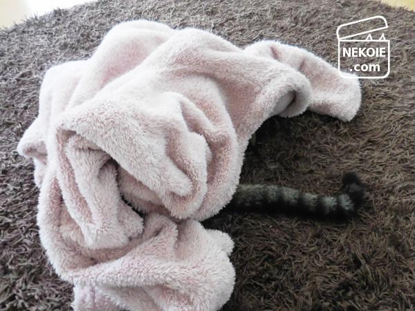 f:id:nekohaus:20170409210953j:plain