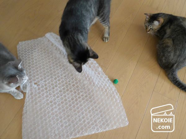 f:id:nekohaus:20170702203926j:plain