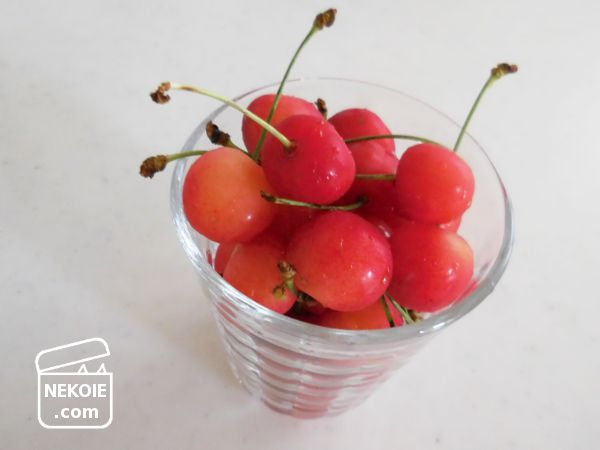 f:id:nekohaus:20170702210550j:plain