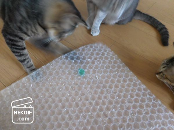 f:id:nekohaus:20170708210610j:plain