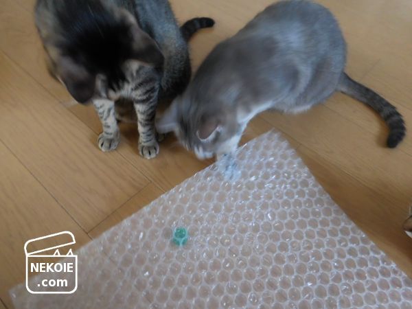 f:id:nekohaus:20170708210611j:plain