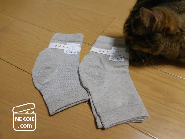 f:id:nekohaus:20170906230818j:plain