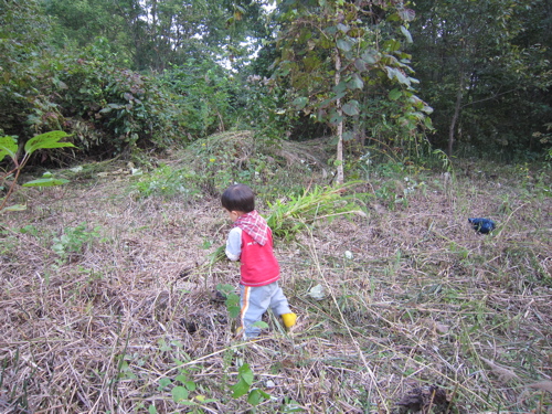 f:id:nekohi3:20110925221449j:image