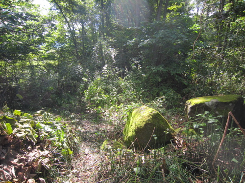 f:id:nekohi3:20110925221451j:image