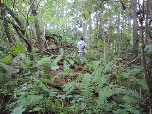 f:id:nekohi3:20110925221452j:image