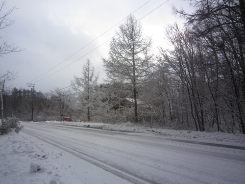 f:id:nekohi3:20141203145859j:image