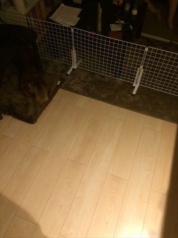 犬のゲートｄｉｙ 猫は三年の恩を三日で忘れない