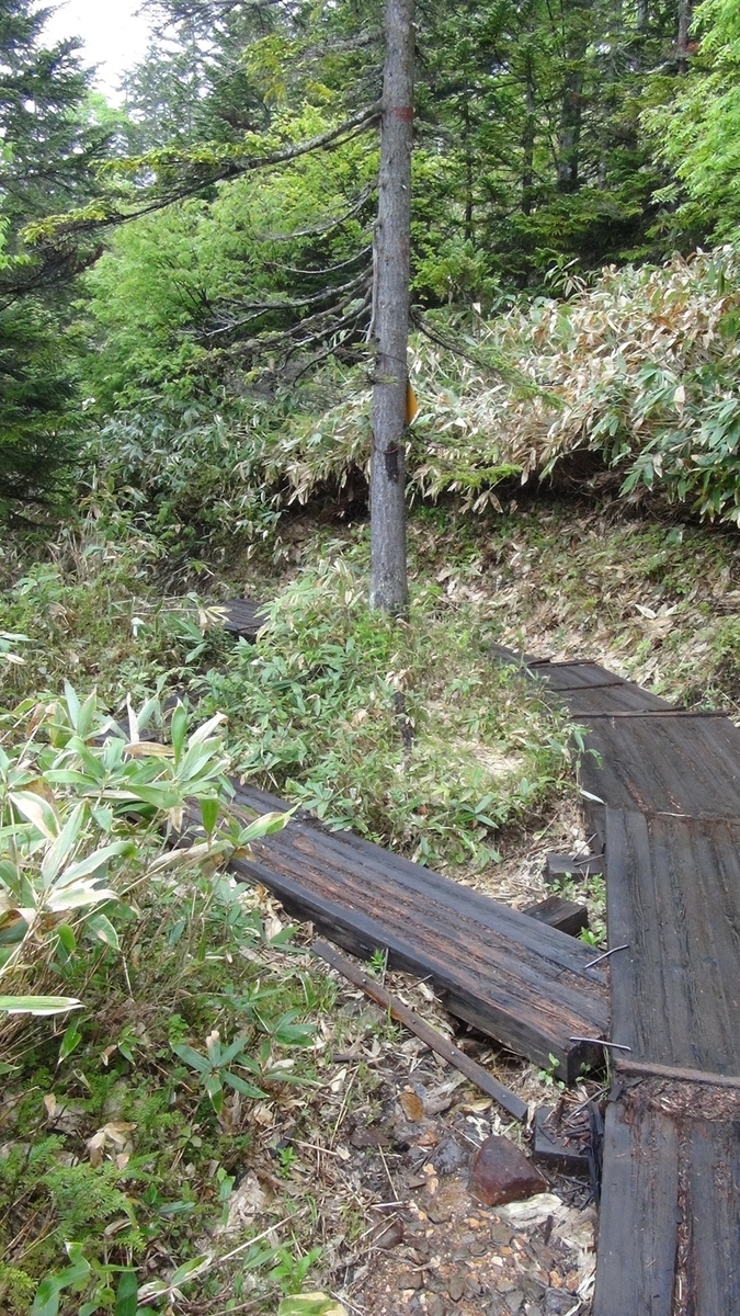 分岐