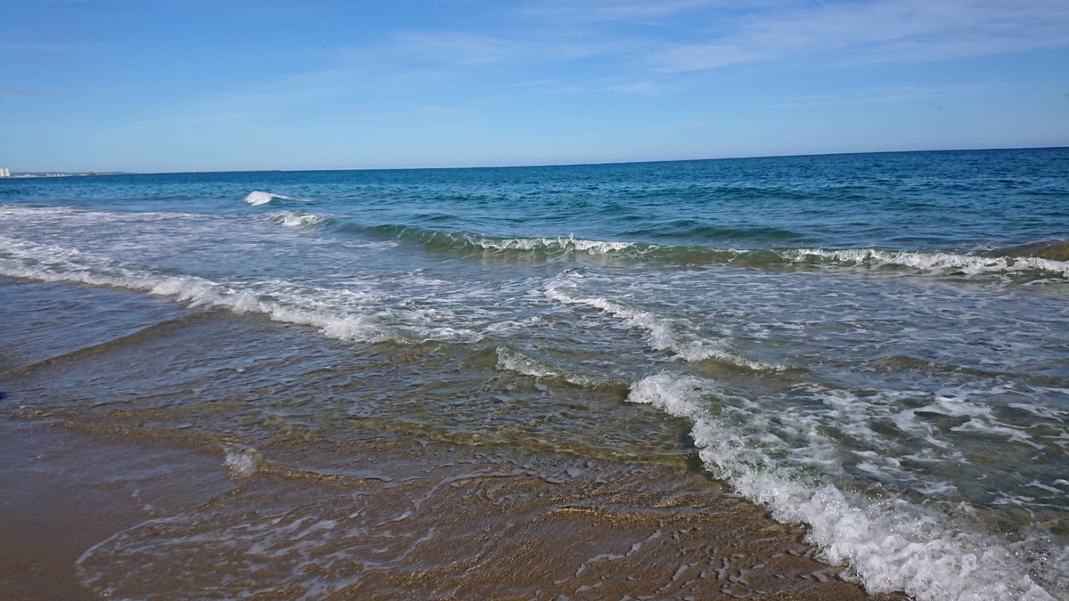 f:id:nekoja-peterpan:20190813191004j:plain