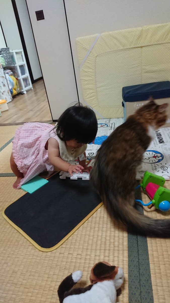 f:id:nekoja-peterpan:20190821101241j:plain