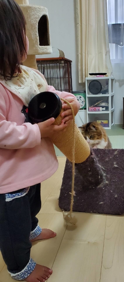 f:id:nekoja-peterpan:20200521103145j:plain