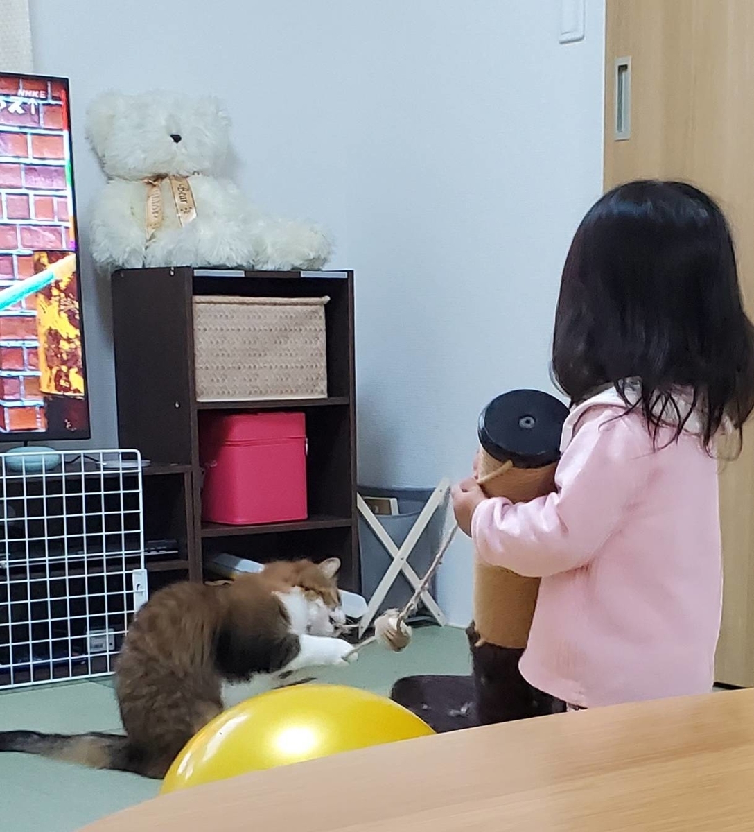 f:id:nekoja-peterpan:20200521103332j:plain