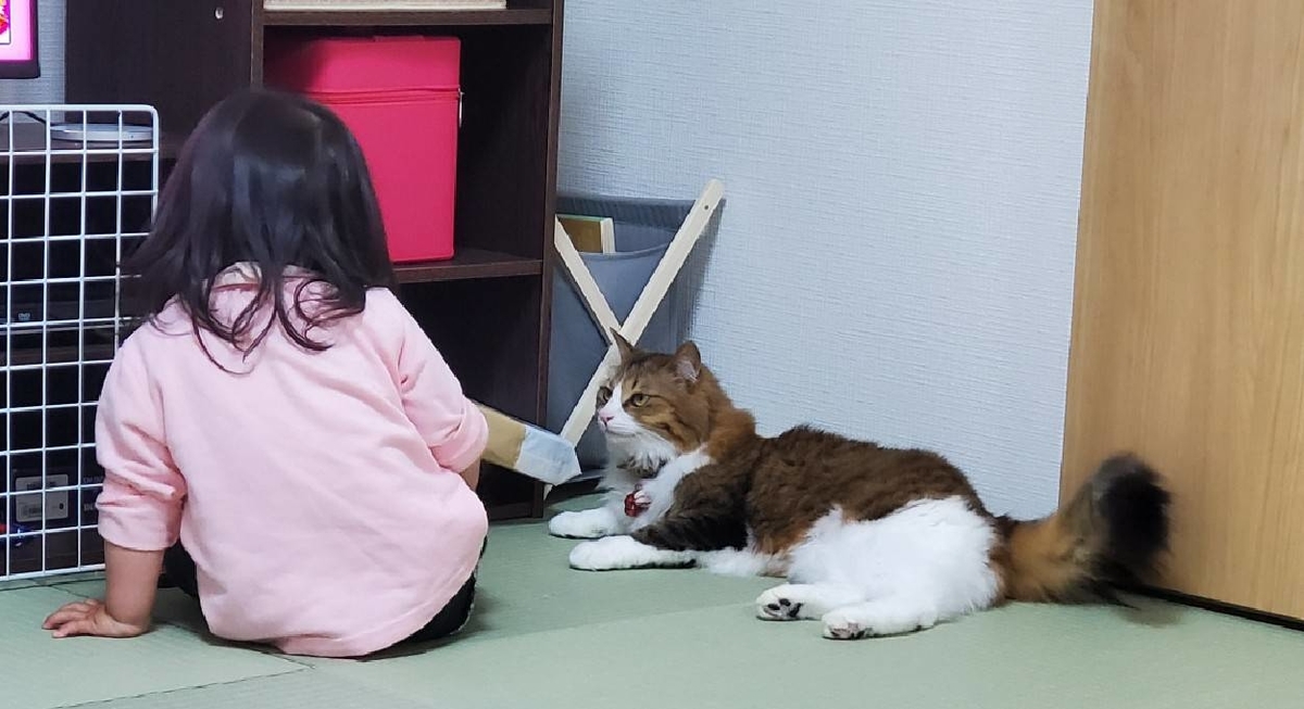 f:id:nekoja-peterpan:20200521103706j:plain