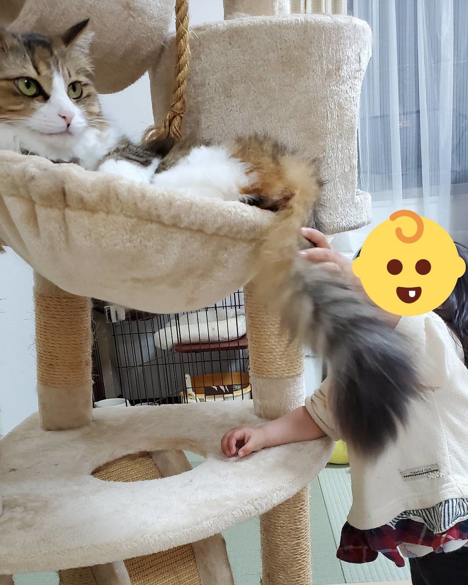 f:id:nekoja-peterpan:20200702233251j:plain
