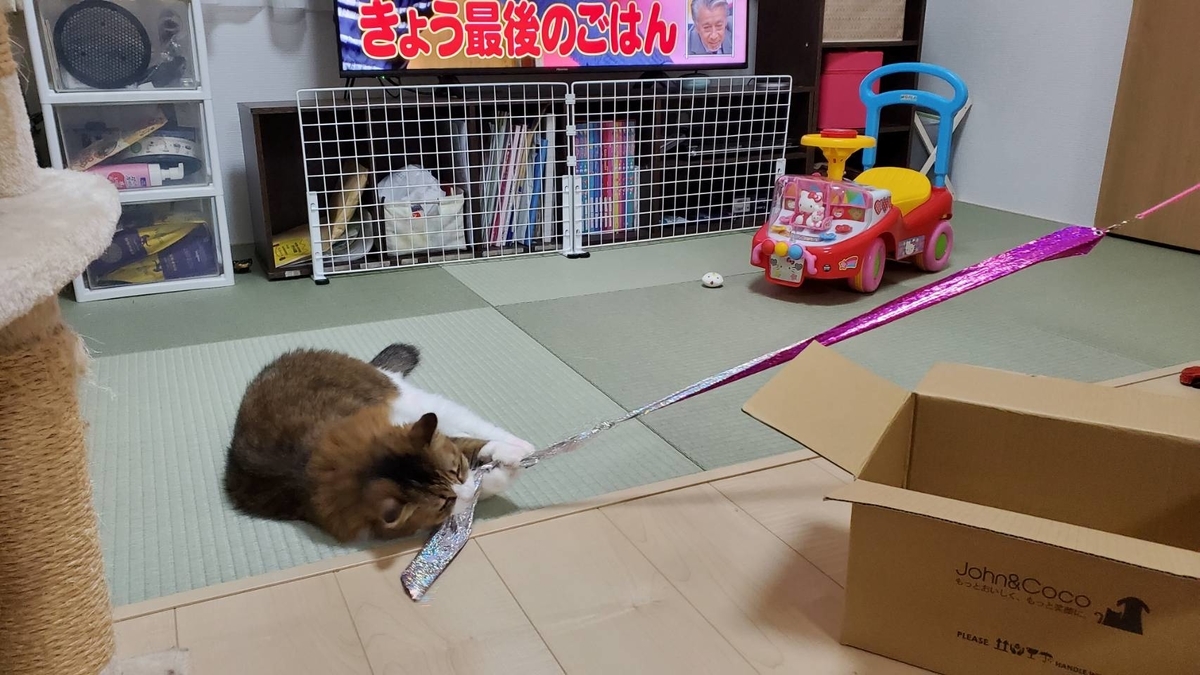 f:id:nekoja-peterpan:20200702233312j:plain