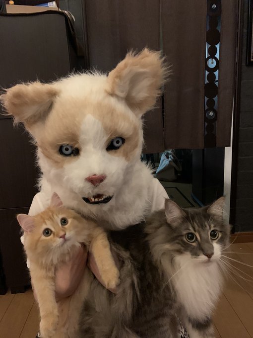 f:id:nekoja-peterpan:20200721200358j:plain