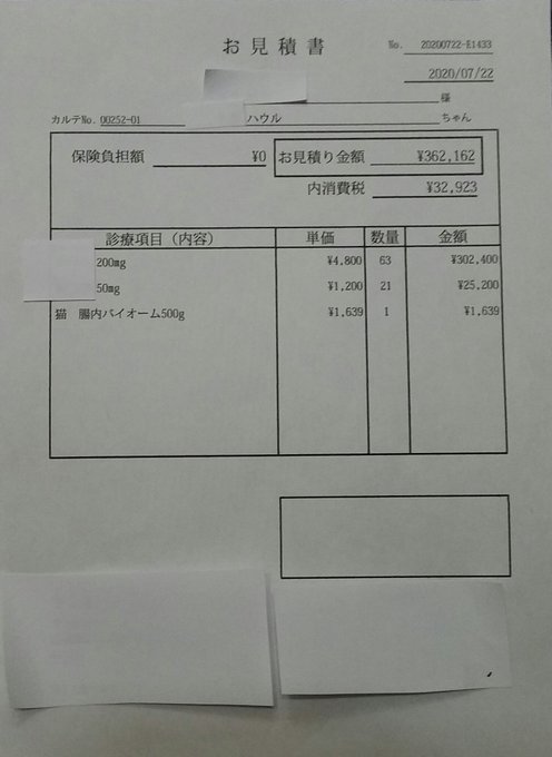 f:id:nekoja-peterpan:20200801210203j:plain