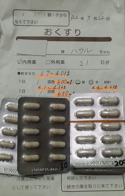 f:id:nekoja-peterpan:20200801210217j:plain