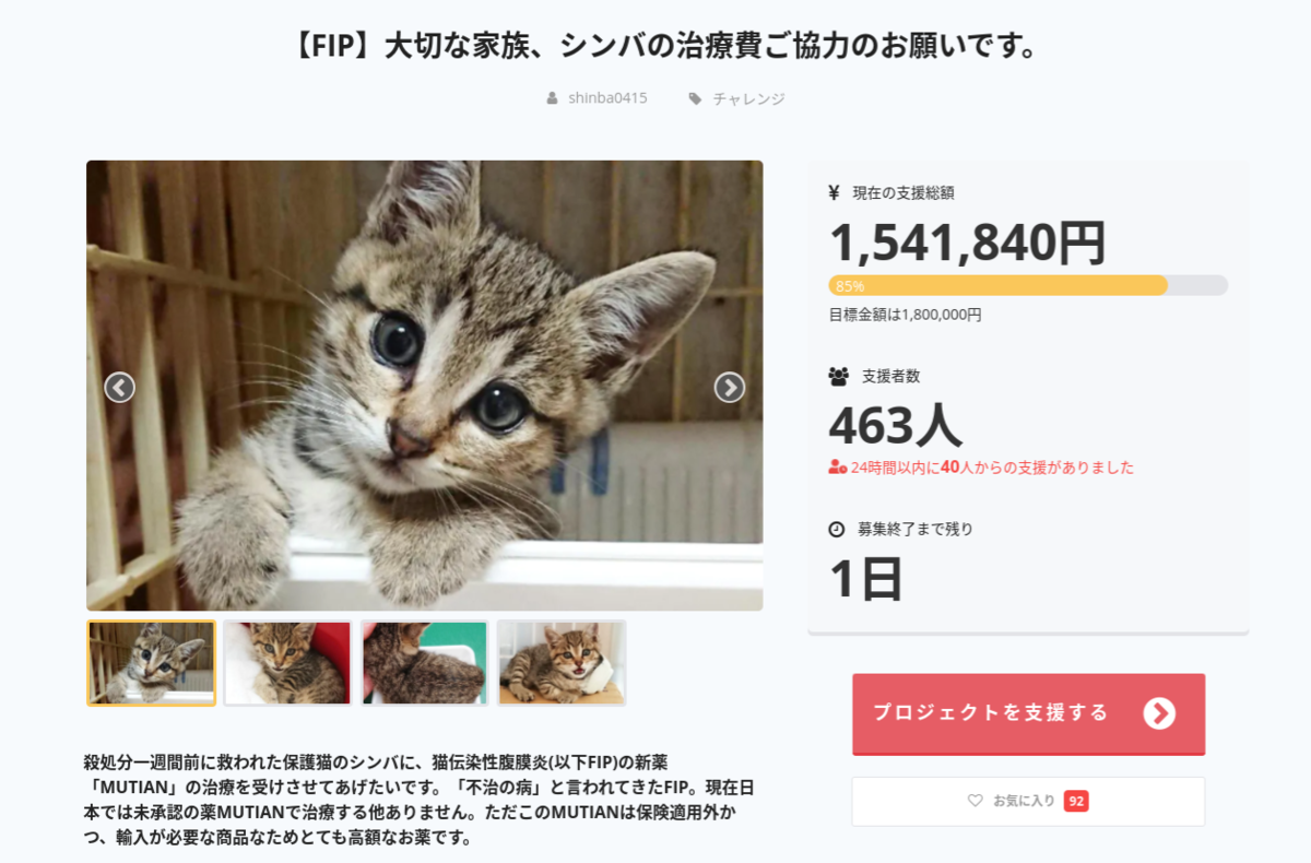 f:id:nekoja-peterpan:20200803003748p:plain