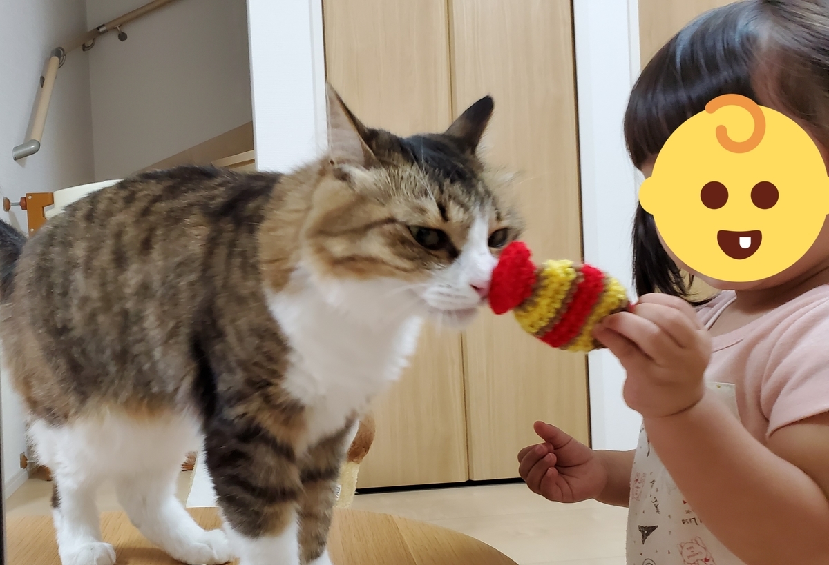 f:id:nekoja-peterpan:20200819201158j:plain